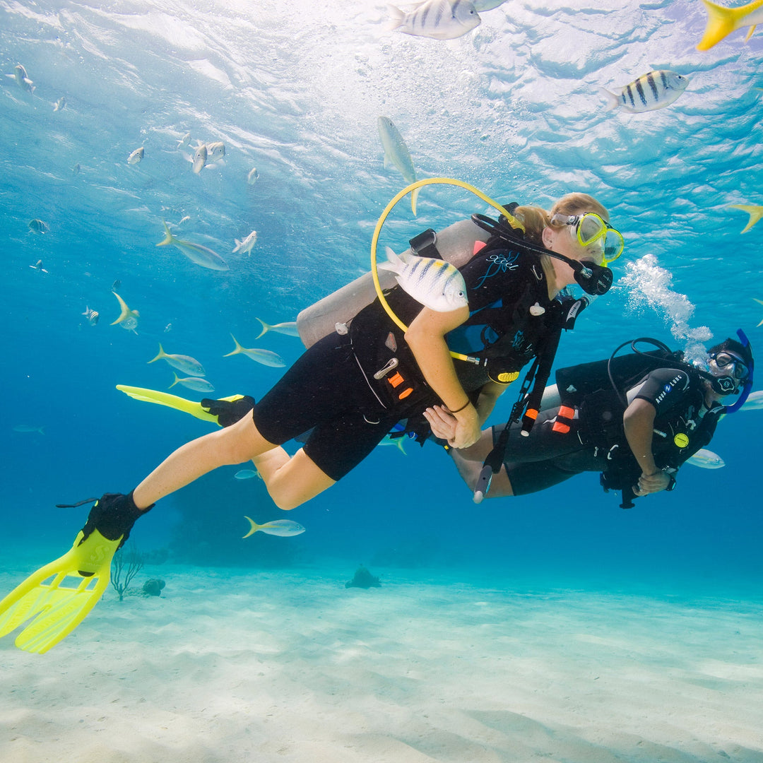 Two scuba divers surrounded by fish underwater